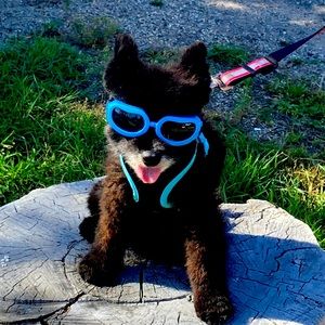 Meet your Posher, Sherry